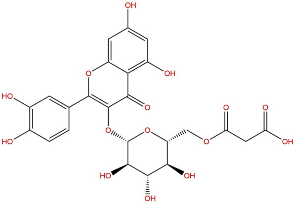 Quercetin 3-O-malonylglucoside