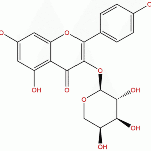 99882 10 7 - BIORLAB