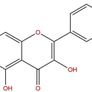 dde2c905dfbdb8b6e9c276910d3e8635 - BIORLAB