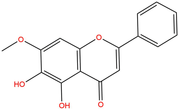 Negletein