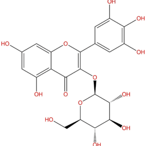 f1d5647a6ce3e1fb7a8acd2bd84e54c0 - BIORLAB