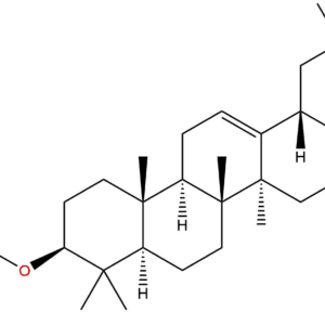 08d3f0ad5ad09d883c5545b4a0027a6a - BIORLAB