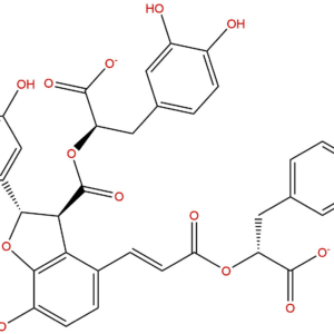 0bb6cb2fd0b8c9f303ed627016c99e6a - BIORLAB