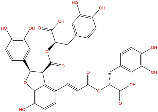 Salvianolic acid Y