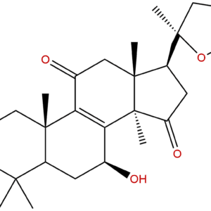 1028449 53 7 - BIORLAB