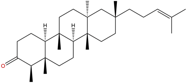 Shionone