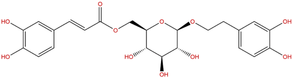 Calceolarioside B