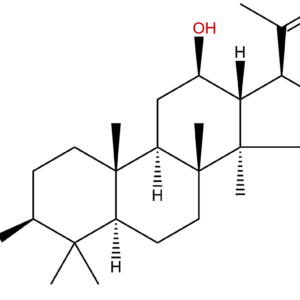 105558 26 7 - BIORLAB