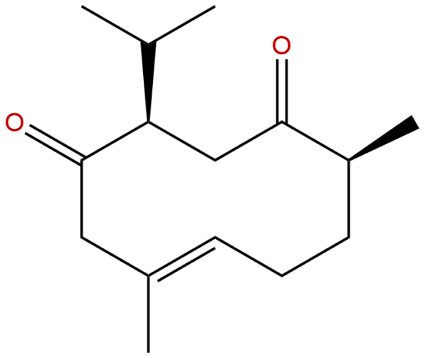 Neocurdione