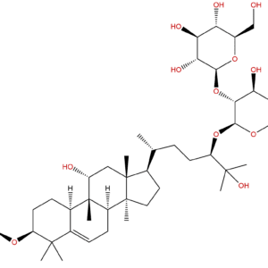1126032 65 2 - BIORLAB