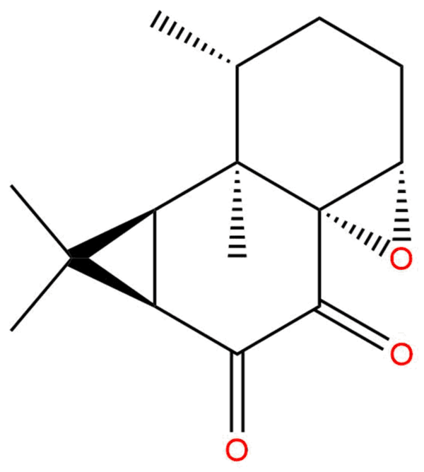 Kanshone C