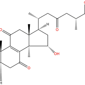 1189555 95 0 - BIORLAB
