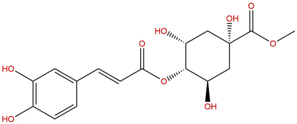 Methyl 4-caffeoylquinate