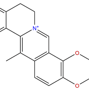 13005 09 9 - BIORLAB