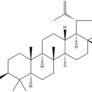 13159 28 9 - BIORLAB