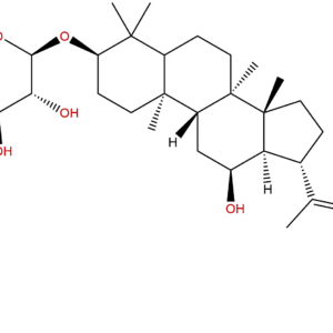 1370264 16 6 - BIORLAB