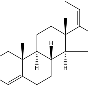 13e5f6ed798e4ba9e71a8d3c4b379727 - BIORLAB