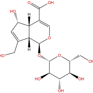 14259 55 3 - BIORLAB
