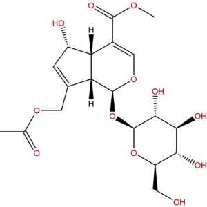 14260 99 2 - BIORLAB