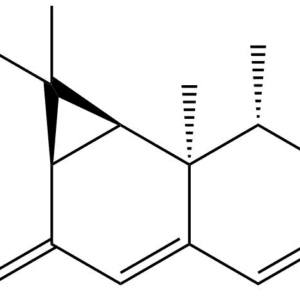 1445952 33 9 - BIORLAB