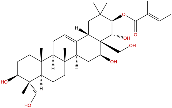 O-Tigloylgymnemagenin