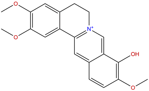 Palmatrubine