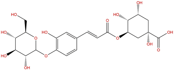 5-O-(3'-O-Glucosylcaffeoyl)quinic acid