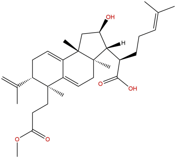 Poricoic acid BM