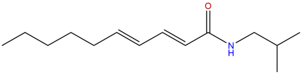 Pellitorine