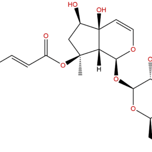 19210 12 9 - BIORLAB