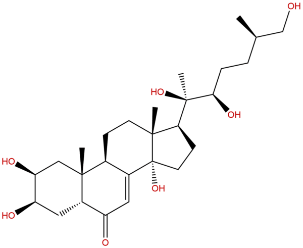 25S-Inokosterone