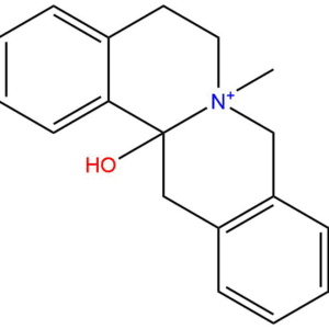 1b510da34e9433e55cc1fdc624dd9875 - BIORLAB