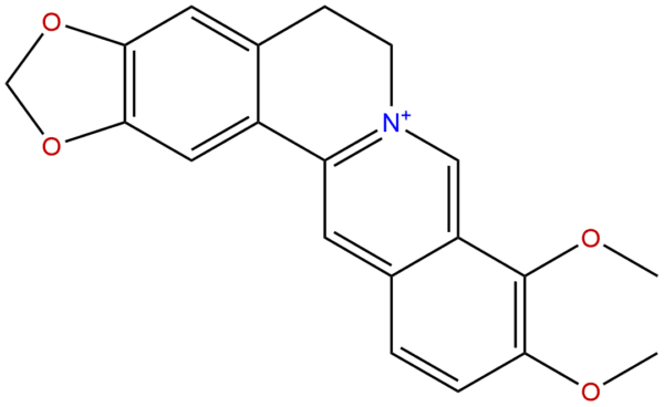 Berberine