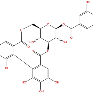 23094 69 1 - BIORLAB