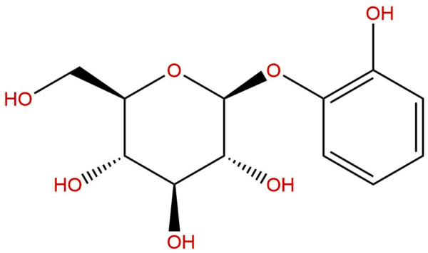 Pyrocatechol monoglucoside