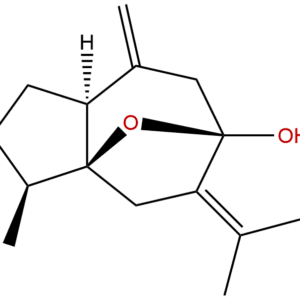 24063 71 6 - BIORLAB