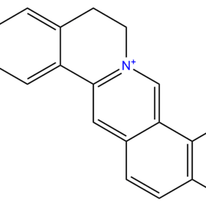 25459 91 0 - BIORLAB