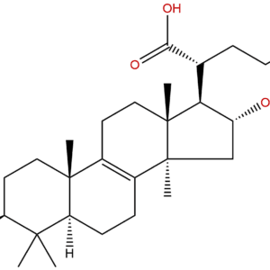 29070 92 6 - BIORLAB