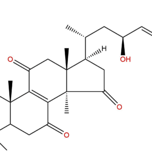 294674 09 2 - BIORLAB