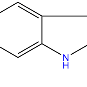 304 21 2 - BIORLAB