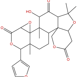 33237 37 5 - BIORLAB