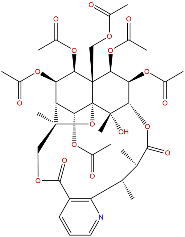 Euonymine
