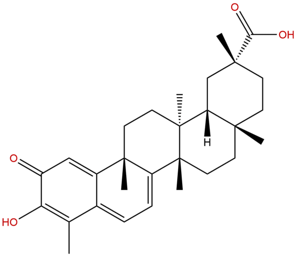 Celastrol