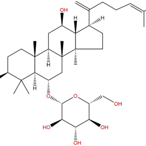 364779 15 7 - BIORLAB