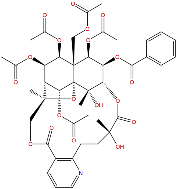 Wtlfordine