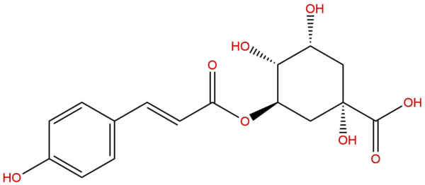 trans-5-O-(4-coumaroyl)-D-quinic acid
