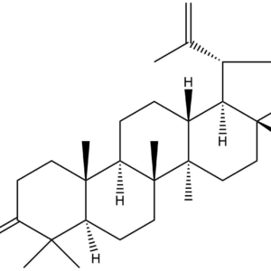 4001e1eedd55a65b8f258de6adff62ee - BIORLAB