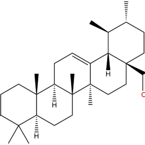 4547 24 4 - BIORLAB