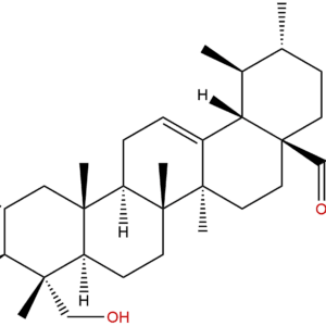 464 92 6 - BIORLAB