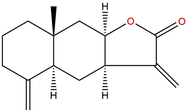 Isoalantolactone